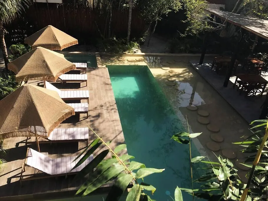 Apartment Luxury Penthouse Studio With Private Rooftop & Pool Tulum Mexico